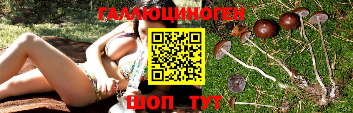 Заводоуковск  Галлюциногенные грибы Magic Shrooms  Вход с VPN 