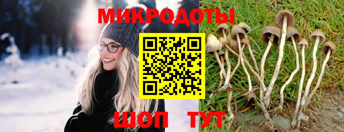 Галлюциногенные грибы прущие грибы Заводоуковск